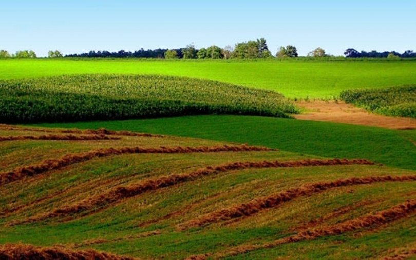 Ar siekis riboti Lietuvos žemės ūkio paskirties žemės pardavimą kitų Europos Sąjungos šalių  piliečiams prieštarauja ES teisei?