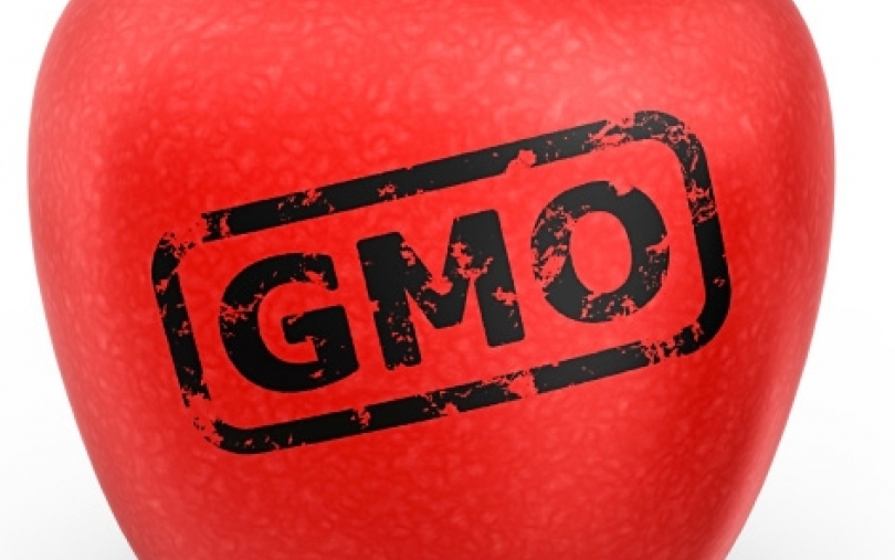 Europos Parlamento nariai vėl diskutavo apie GMO veislių autorizavimą