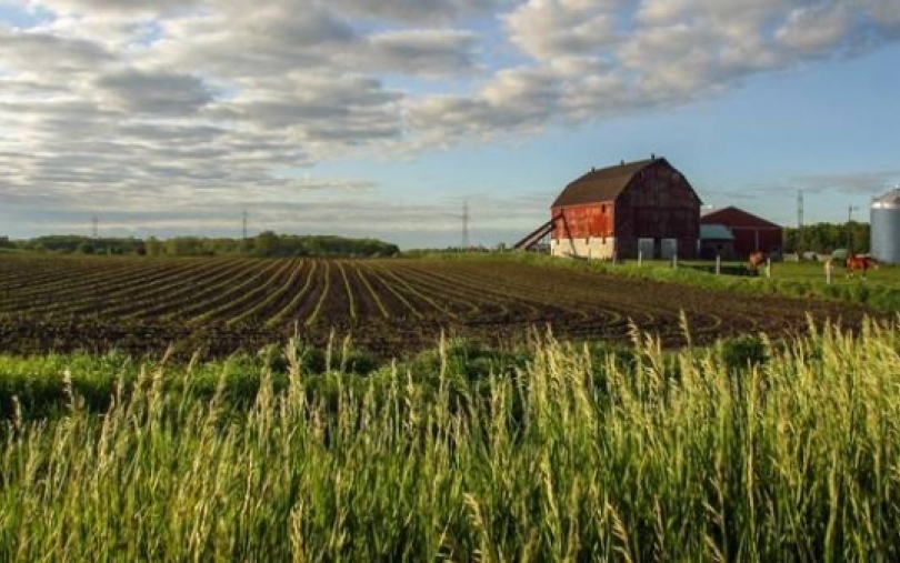 B. Ropė: kreipimasis į ūkininkus, kaimo gyventojus bei Lietuvos žemės ūkio ateičiai neabejingus piliečius