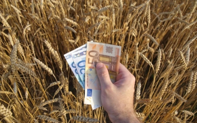 Tiesioginės išmokos visų ES valstybių ūkininkams!